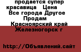 продается супер красавица › Цена ­ 50 - Все города Другое » Продам   . Красноярский край,Железногорск г.